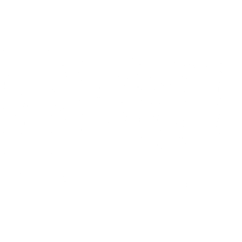 Mortecraft